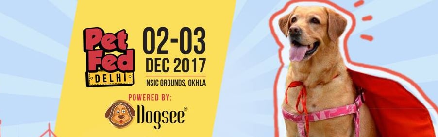 The Festival of Cuteness and Cuddles!