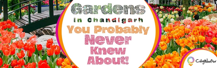 Gardens in Chandigarh You Probably Never Knew About!