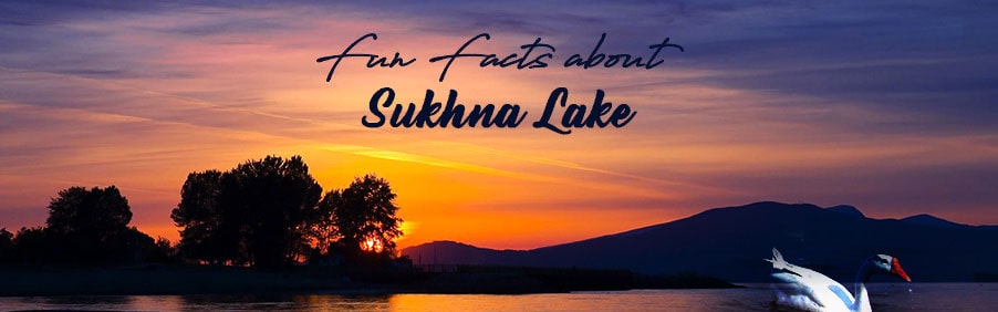 Fun Facts You Did Not Know About Sukhna Lake