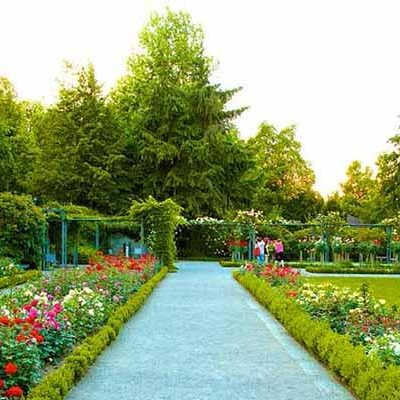 Zakir Hussain Rose Garden - one of the picnic spots