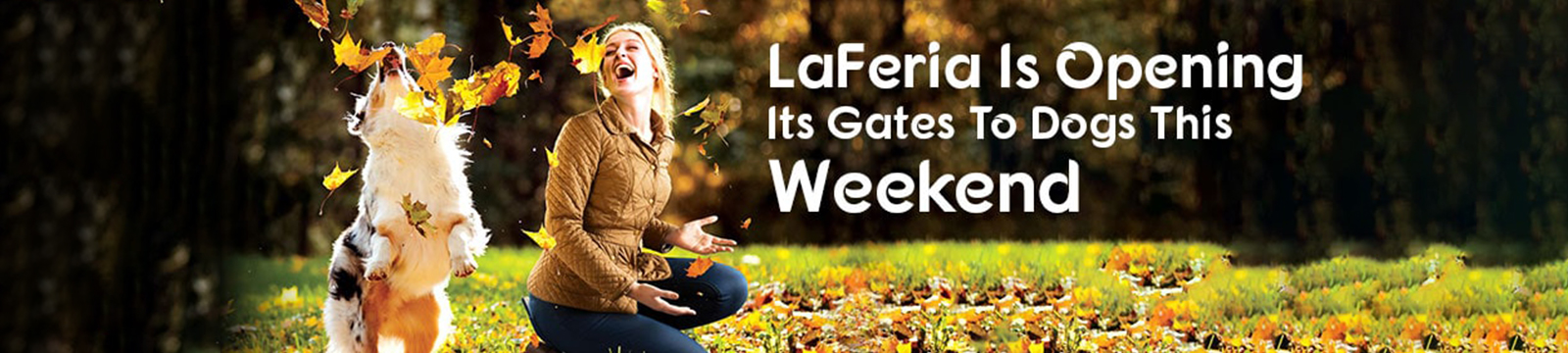 LaFeria Is Opening Its Gates To Dogs This Weekend!