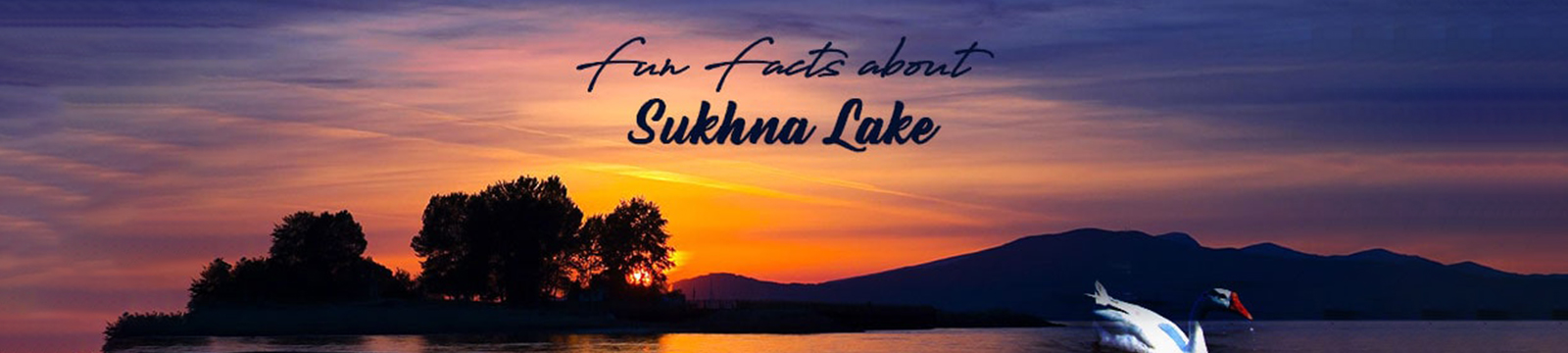 Fun Facts You Did Not Know About Sukhna Lake