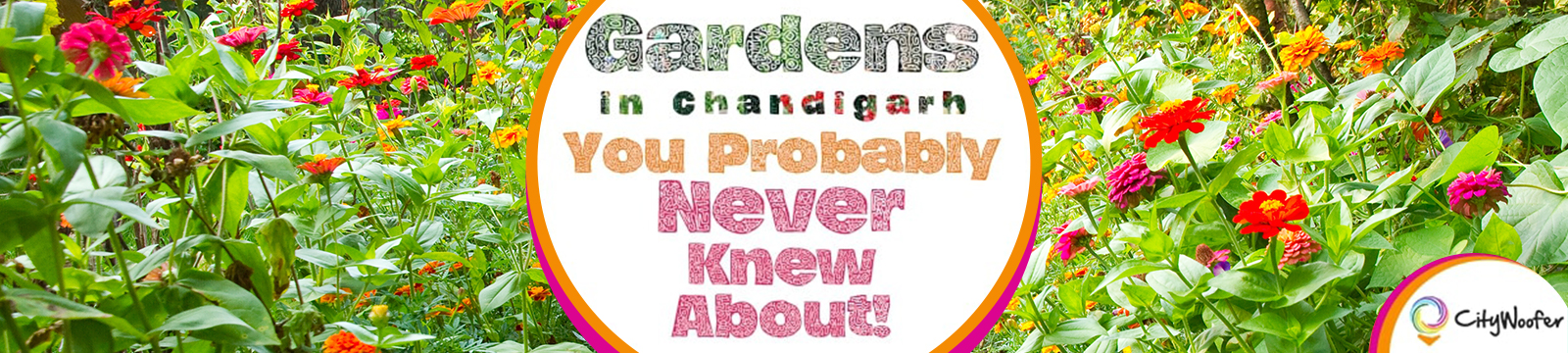 Gardens in Chandigarh You Probably Never Knew About!