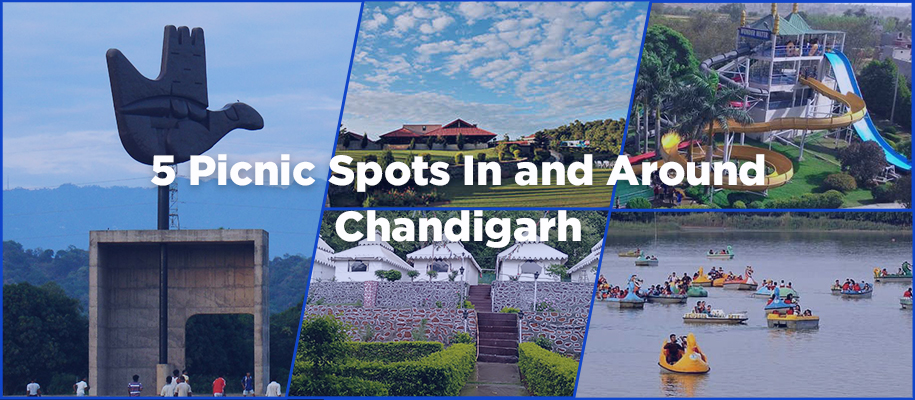 5 Picnic Spots In and Around Chandigarh