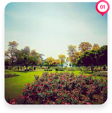 Rose Garden Chandigarh