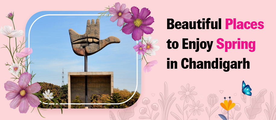 8 Beautiful Places to Enjoy Spring in Chandigarh