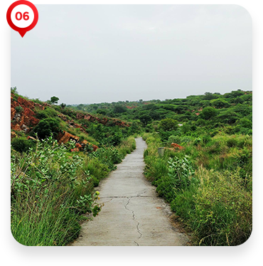 Aravali Biodiversity Park