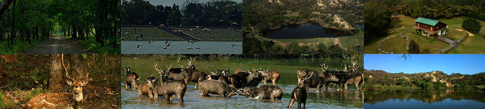 Sukhna Wildlife Sanctuary (Nepli/ Kansal Forests)