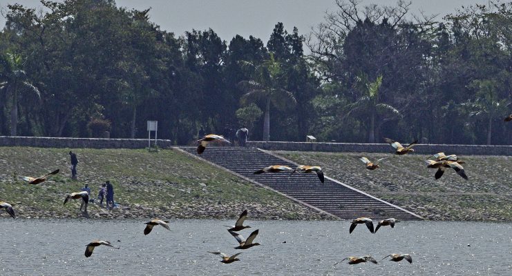 Sukhna Wildlife Sanctuary