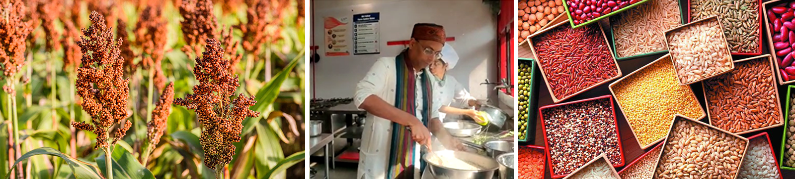 Millet Ram Babu: Getting Back Millets on the Plate