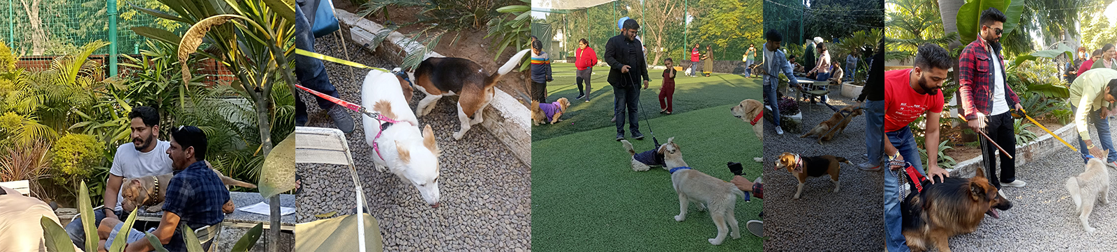 Petsfamilia’s Get-Together For Dog Pets And Their Pawrents