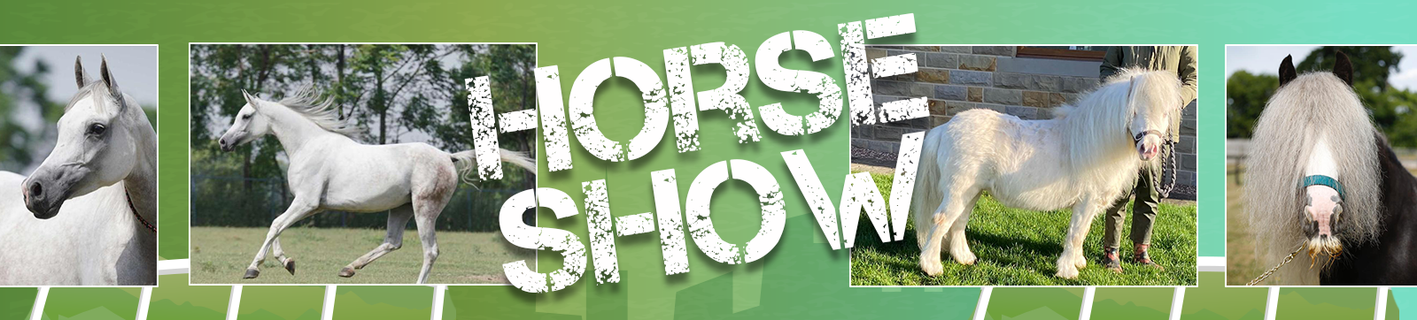 Horses galore at Homeland Chandigarh Horse Show