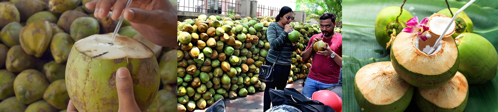 Looking for Coconut Water in Mohali? Here’s Where You Will Get It