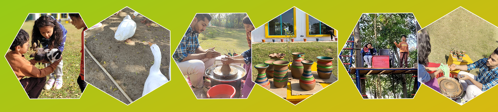Enjoy Community/Family Outings With Tricity Picnics