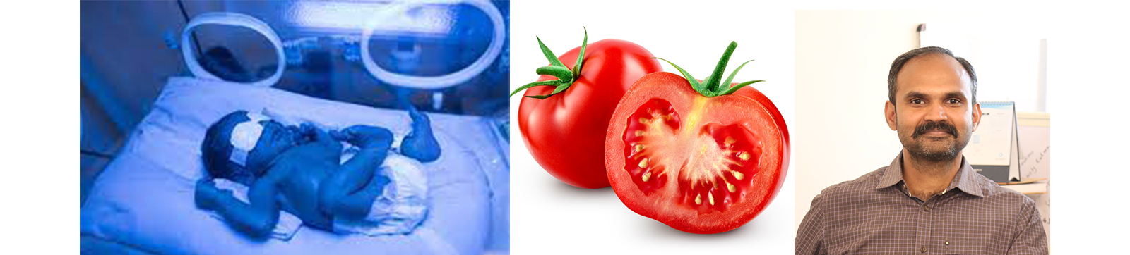 INST, Mohali, Develops Oximeter to Determine Jaundice in New-Borns; Lycopene Sensors to Test Tomatoes
