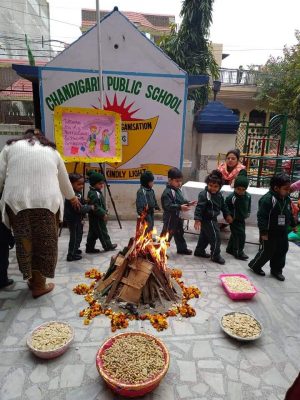 Lohri Celebration in Chandigarh school