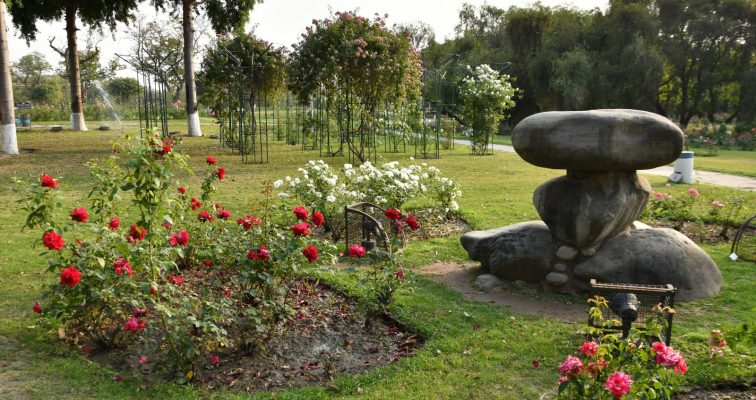 Rose Garden Chandigarh