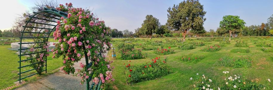 Rose Garden Chandigarh