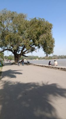 Morning view at Sukhna Lake