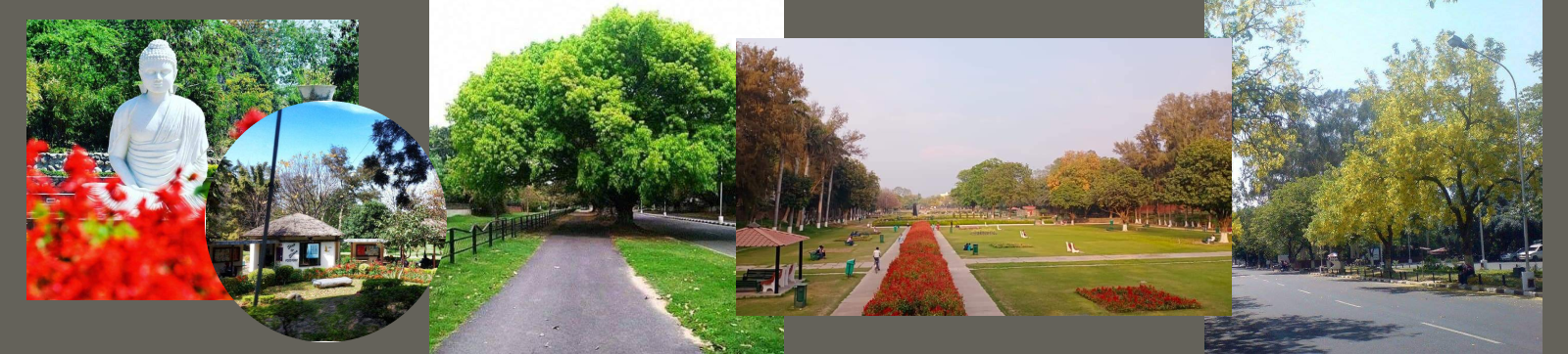 Chandigarh in Spring: A Riot of Unmatched Purity of Colours