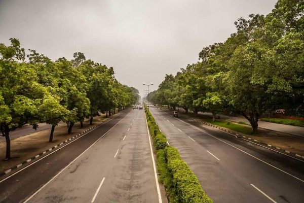 Roadside Beauty of Chandigarh