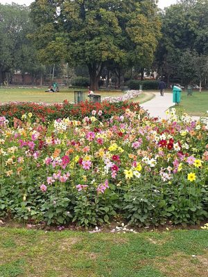 Fragrance Garden, Sector 36, Chandigarh