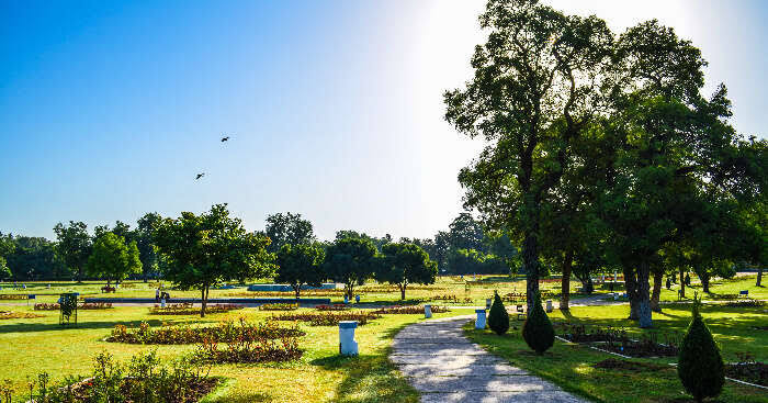 abundance of greenery and fresh air in Leisure Valley Chandigarh