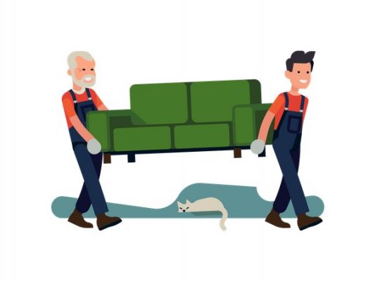 Packers & Movers in Chandigarh