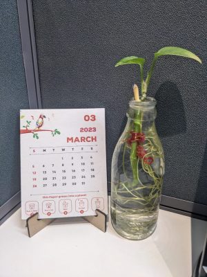 sustainable Calendar