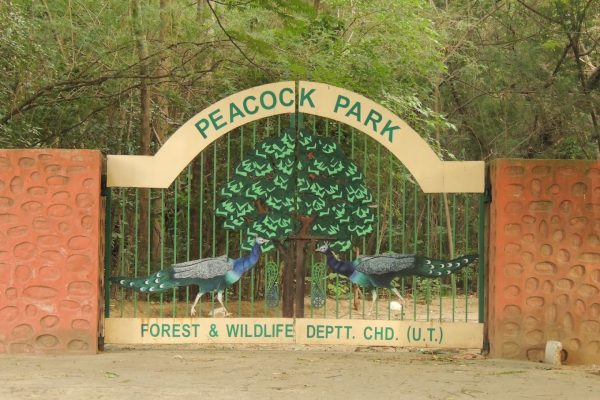 Peacock Park Chandigarh