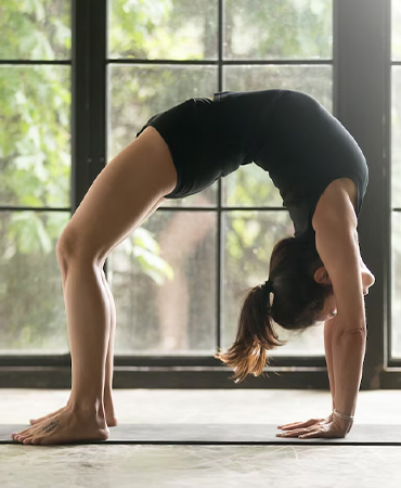 Urdhva Dhanurasana (Wheel Yoga Pose)