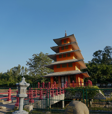 Japanese Garden, Chandigarh